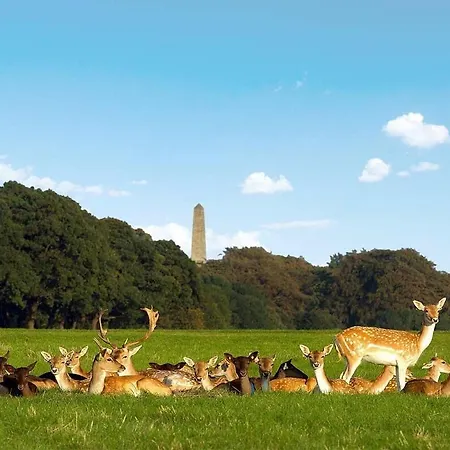 منزل للإقامة Cozy In Stoneybatter, دبلن