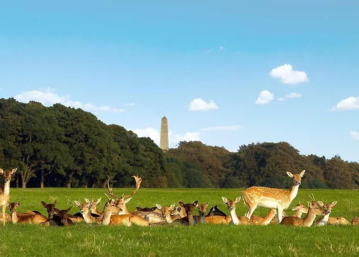 בית אירוח Cozy In Stoneybatter, דבלין