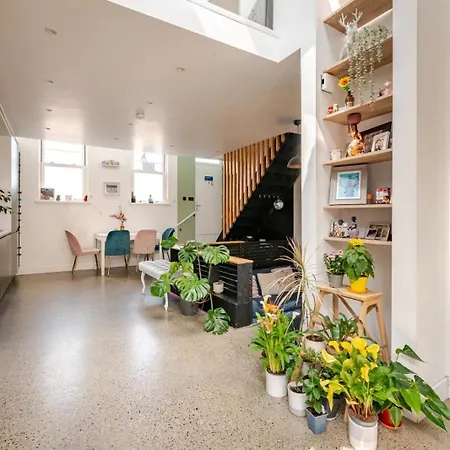 Cozy In Stoneybatter, Homestay *