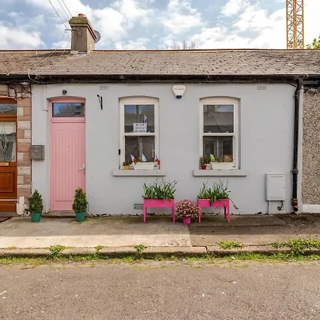 Cozy In Stoneybatter, ホームステイ ダブリン